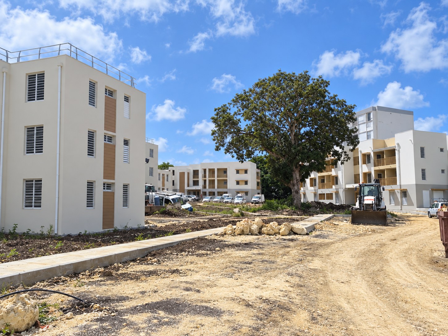 Vue du chantier de 47 Logements à Dugazon autour du manguier conservé